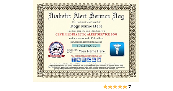 type 1 diabetes service dog price