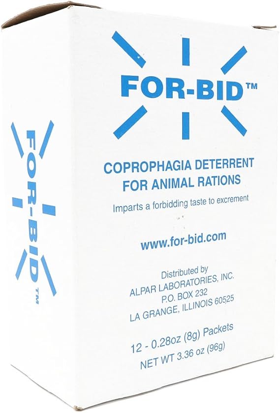 brittany cocker spaniel mix for sale