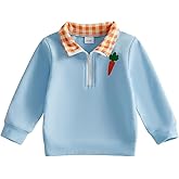 Nibbcoa Toddler Boy Easter Outfit Bunny/Carrot Embroidery Sweatshirt Lapel Neck Pullover Shirt Top Kids Spring Clothes