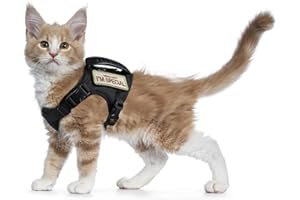 AUGOPAPA Tactical Cat Harness for Walking Escape Proof, Soft Mesh Adjustable Pet Vest Harness for Large Cat,Small Dog