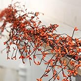 NeoL'artes Artificial Fall Berry Garland, 6 Feet, Orange Berries, Decorative Mantle and Table Decor (Orrange)