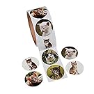 Fun Express Paper Cat Photo Roll of Stickers (100 Stickers per Roll, Shrink-Wrapped)