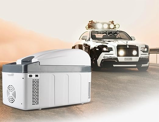 WGL Mini Refrigerador Del Coche Coche De Casa 20L De Gran ...