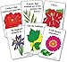 Bright Spots Memory Garden: Bereavement Healing Card Game (Grief and Loss Card Game Games)