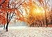 7x5 ft Sunset Red Maple Leaves Snow Winter Photography Backdrop Christmas Background