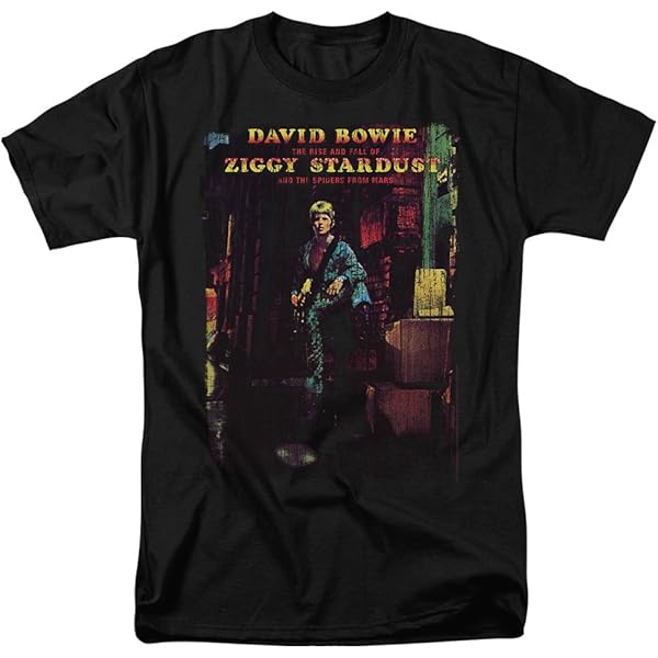 Amazon.com: Popfunk David Bowie Heroes Rock Album T-shirt