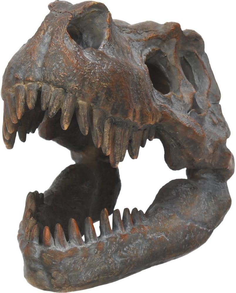 Nemesis Now Tyrannosaurus Rex Skull Freestanding Figurine 18.5cm Grey, 16cm - Image 3