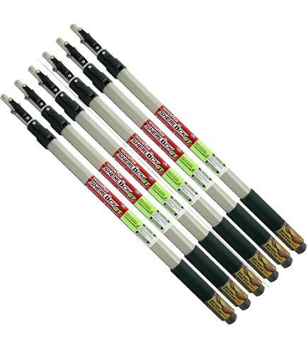 Amazon.com: Wooster R090 2'-4' Sherlock GT Convertible Pole - 6ct