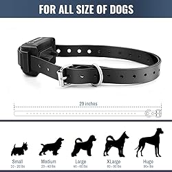 Petrainer PET998DB1 330 Yards Rechargeable and