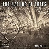 2020 The Nature of Trees Mini Calendar: by Sellers Publishing by
