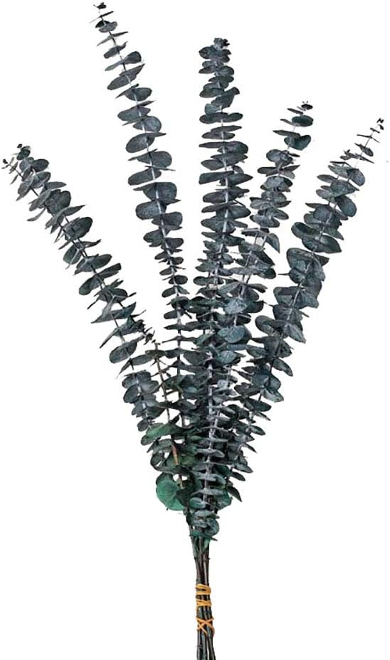 KALOR Blue Preserved Eucalyptus Branches Home Décor DIY 10 Stems Blue