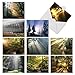 The Best Card Company - Box of 10 All Occasion Cards Blank (4 x 5.12 Inch) - Scenic Landscape Cards Assorted - Shining Through M1735BN