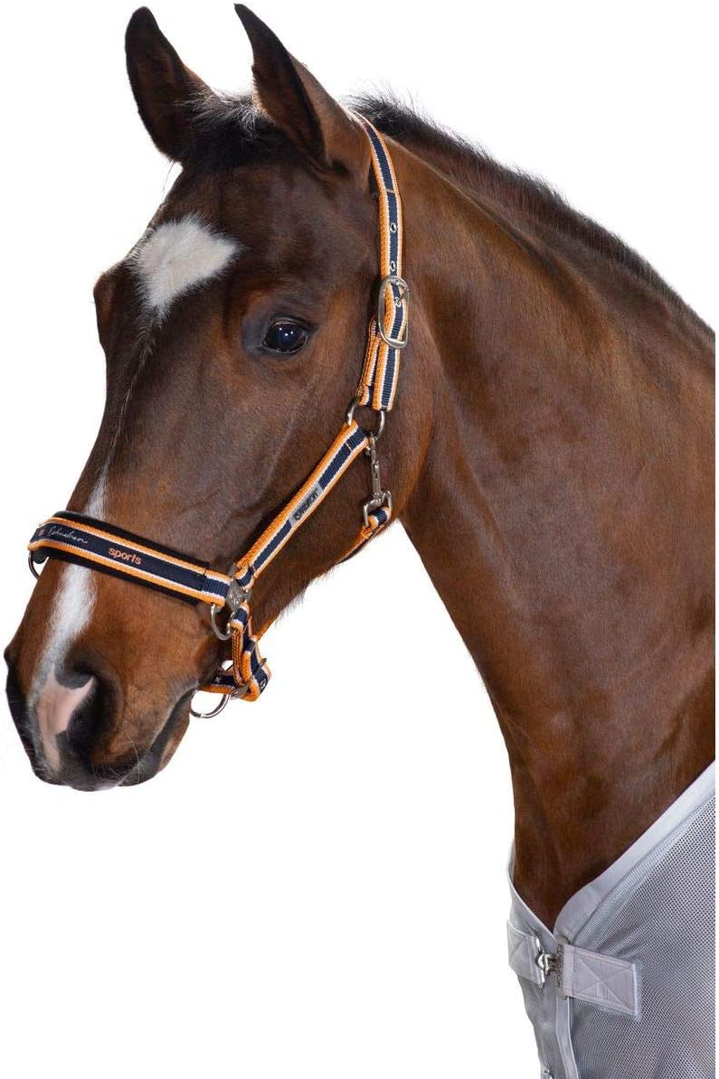 Eskadron - headcollar Striped - Classic Sports