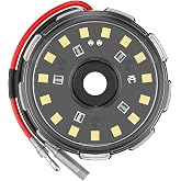 Cyclone V2 LED - Single Light - Clear Lens - 5W Flood Beam