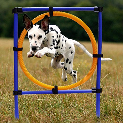 ZOIC Pet Dogs Outdoor Games Agility Exercise Training Equipment Jump