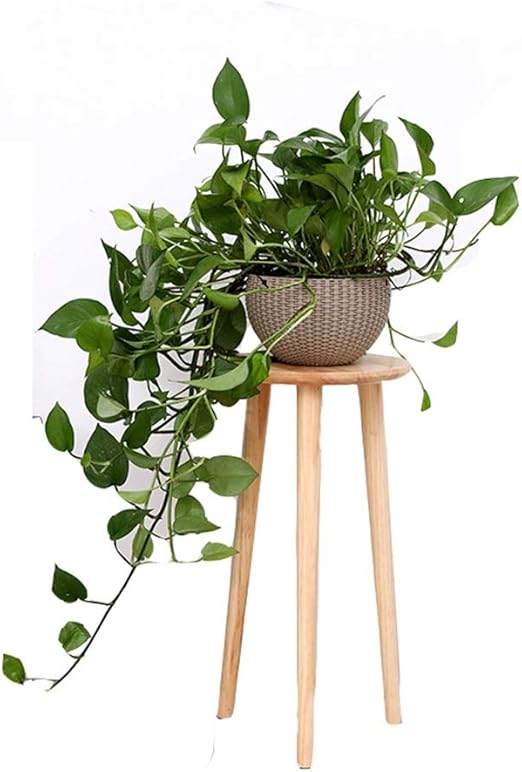 Soporte de Flores, una Sola Capa de Madera Maciza para Interiores ...