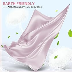 Mulberry Silk Pillow Cases 2 Pack King Size 20x36