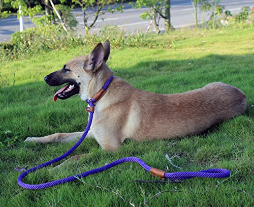 lynxking Dog Leash Rope Strong Heavy Duty Braided Rope Slip Leads No Pull Training Lead Leashes for Medium Large Dogs (5', Purple)