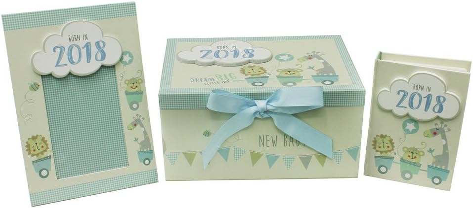 born in 2019 keepsake box