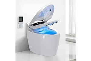 LDian Smart Toilet With Bidet Built In, One-piece Bidet Toilet Seat, Auto Flush, Auto Open & Auto Close,Heated Seat, Warm Water and Dry, Wireless Remote Control…