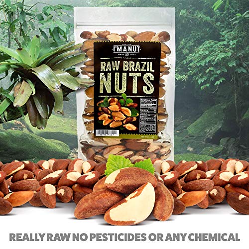 Raw Brazil Nuts 16 oz (1 lb) Distinct and Superior to Natural and Raw