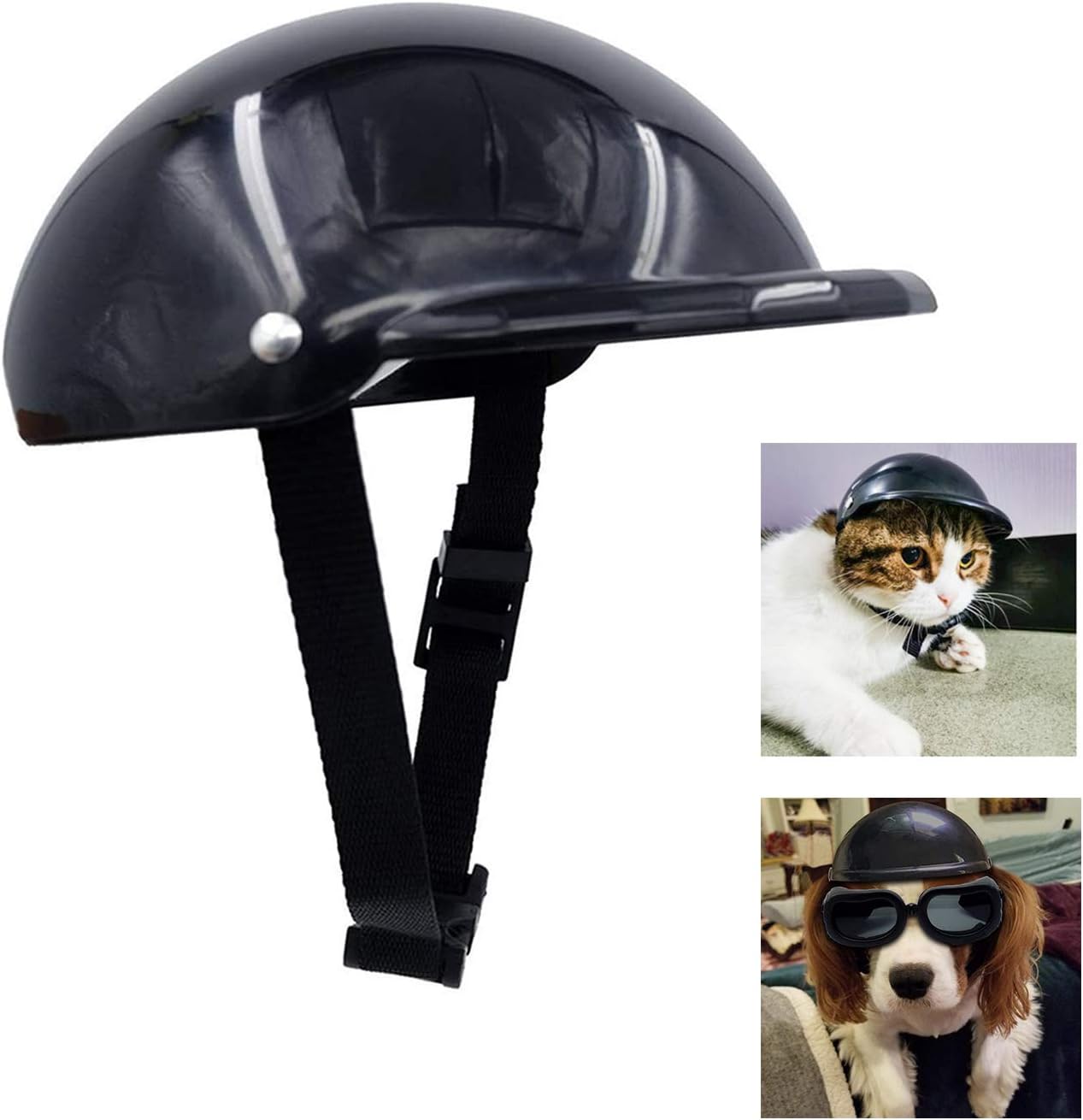 chihuahua motorcycle gear