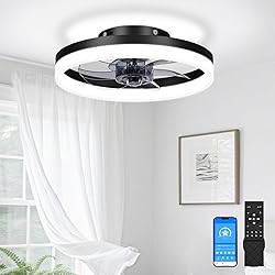 VOLISUN 13 inch Small Ceiling Fans with Lights and
