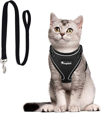 Small cat harnesses Clearance
