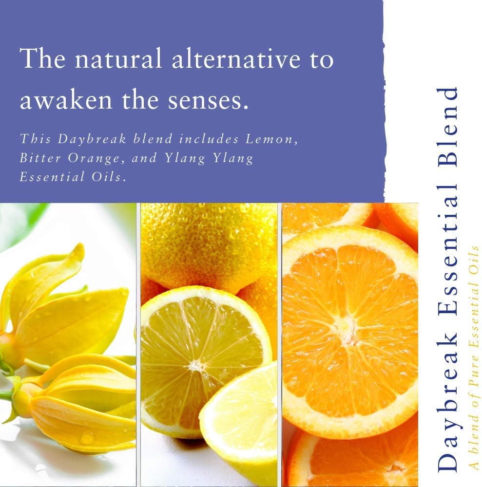 Absolute Aromas Daybreak Essential Oil Blend 10ml with 100% Pure Lemon, Orange, Tangerine & More Essential Oils - Image 3