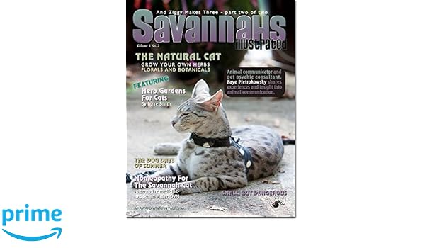 Savannahs Illustrated Savannah Cats The Natural Cat Savannahs