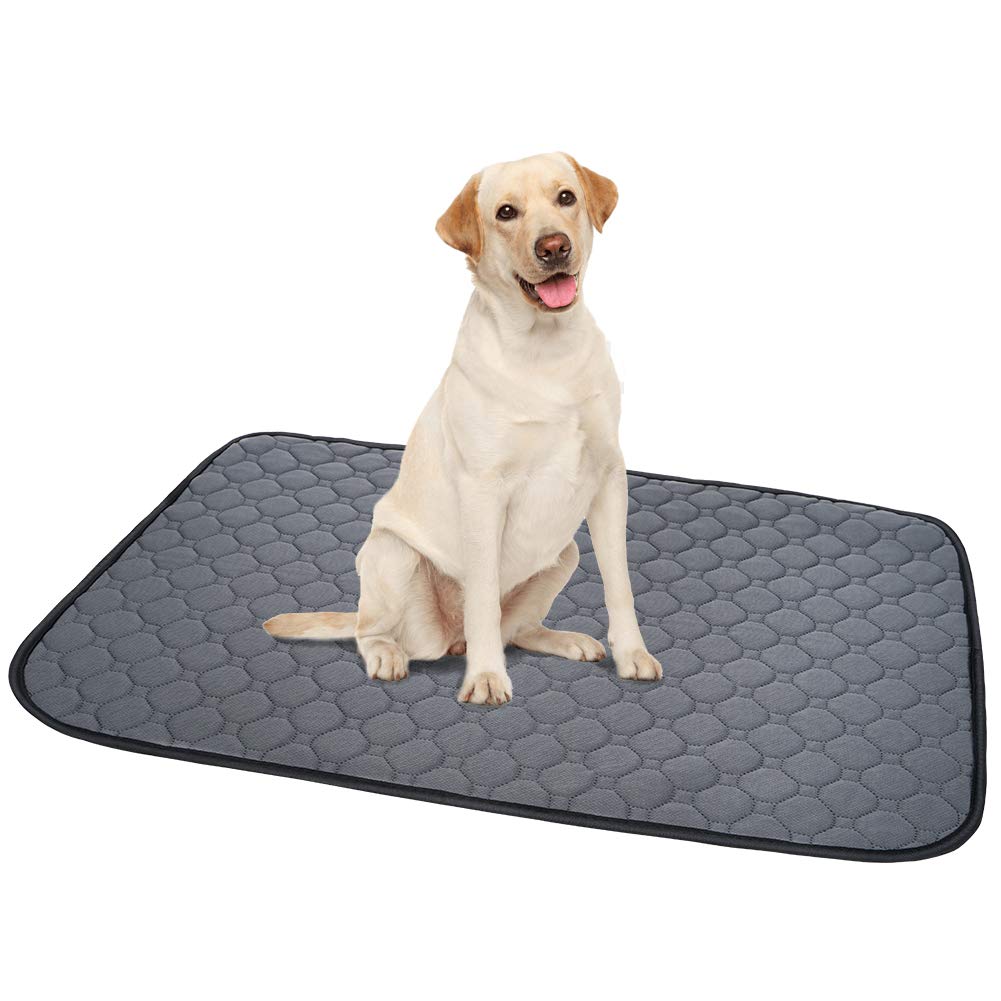 Mua ペットシーツ 洗える 猫 犬用 おしっこパッド ペット用 トイレ下敷きマット 速乾 洗える 脱臭 抗菌 グレーｌ 二枚セット Tren Amazon Nhật Chinh Hang Fado