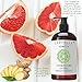 Laritelle Organic Conditioner 16 oz | Organic Macadamia + Keratin + Follicle Stimulating Rosemary, Ginger & Grapefruit | Fortifying Hair Growth Formula | NO GMO. Vegan