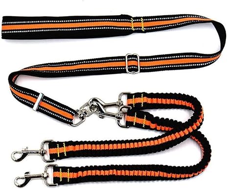 y leash for dogs
