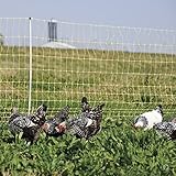 Premier 48" Electric Chicken Net Fence 12/48/3 Yellow - 164' Roll