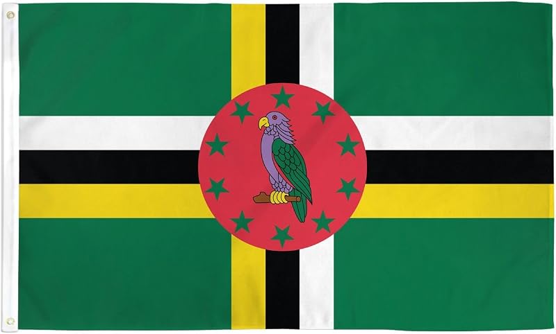 AZ FLAG Dominica Flag 2x3 ft 100D Polyester with 2 Brass Eyelets