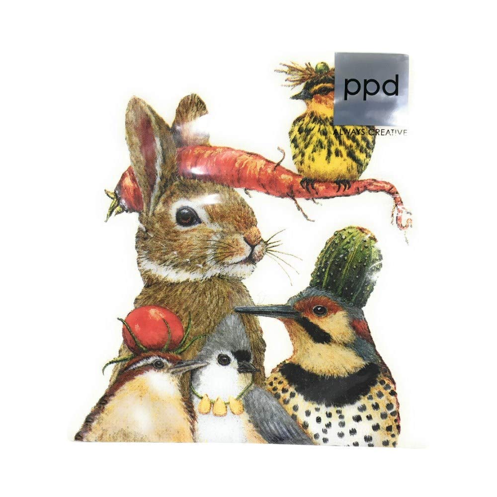 Paperproducts Design 1332588 Lunch Napkins, Paper, Multicolor