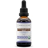 Stinging Nettle Root USDA Organic | Alcohol-FREE Extract, High-Potency Herbal Drops, Respiratory System | Made from 100% Certified Organic Stinging Nettle (Urtica Dioica) Dried Root 2 oz