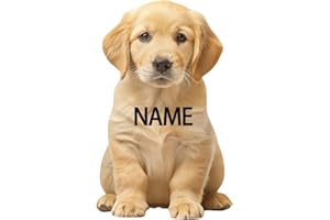 SweetJECCU Custom Pet Pillow, Personalized Cute Dog Cat Pillows with Photo, Customized Double-Sided Pet Stuffed Pillows, Funn