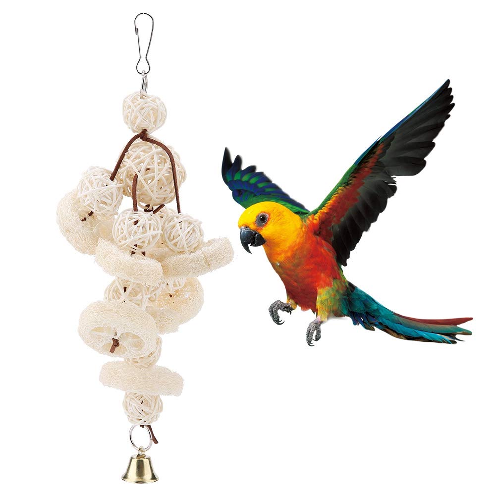 Parrot Bird Toy, Natural Loofah Cuttlebone Chew Toy Pet Hanging Standing Swing Toy for Small Parakeet Cockatiel Conures Finch Budgie Macaw Parrot