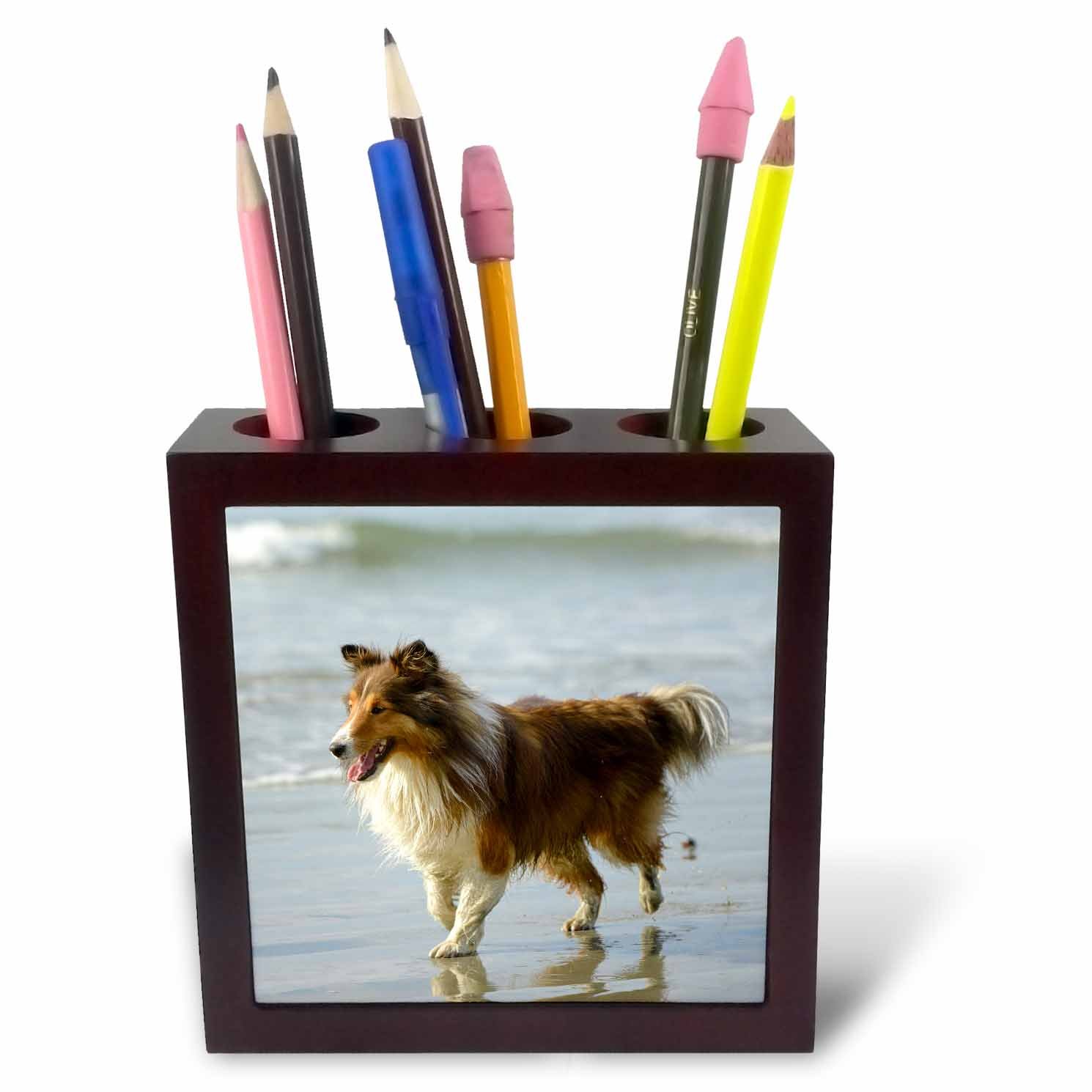 3dRose ph_226832_1 5-Inch "Canada/Vancouver Island Sheltie Walking on Chesterman Beach/Tofino" Tile Pen Holder