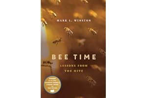 Bee Time: Lessons from the Hive