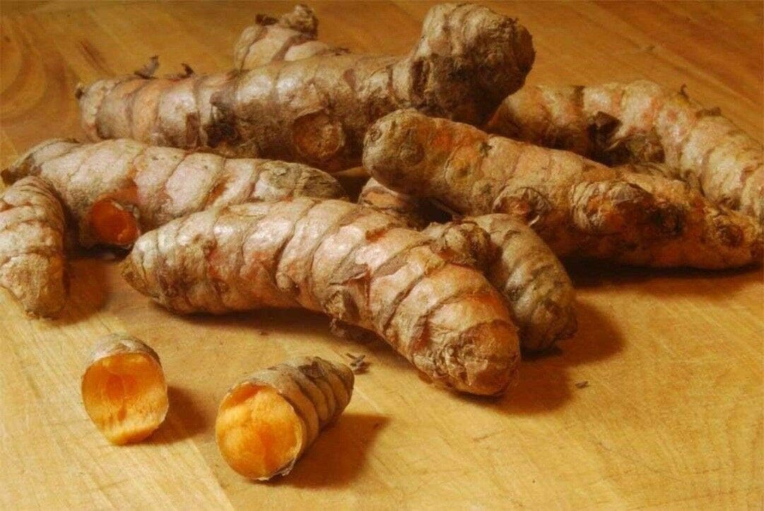 3：有機ウコンウコン根茎Haldiハイクルクミン価値を成長させるための