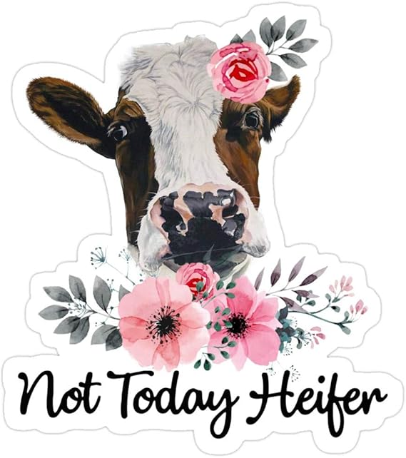 not today heifer yeti