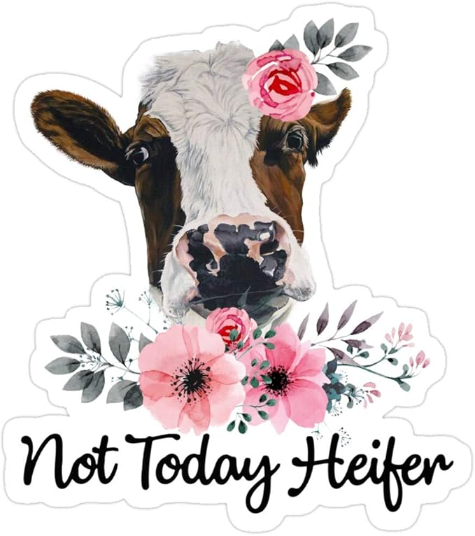 not today heifer yeti