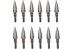 Aklisdlha 100/125/150/200 Grains Archery Field Points Practice Field Tips, Stainless Steel Archery Target Practice Hunting Arrow Tip for Recurve, Compound Bow Crossbow, Screw in Broadheads