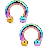 Ftovosyo PA Ring Internally Threaded Rainbow Circular Barbells Horseshoe Large Septum Ring Ear Gauges Earrings 2G 4G 6G 8G 12mm/16mm 316L Surgical Steel Pierced Body Jewelry for Women Men