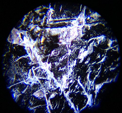 Kenko Do Nature STV-120M LED lights built-in compact portable microscope - Thumbnail 5