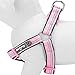 Blueberry Pet 4 Colors Soft & Comfy 3M Reflective Step-in Easter Spring Pastel Color Padded Dog Harness, Chest Girth 23.5