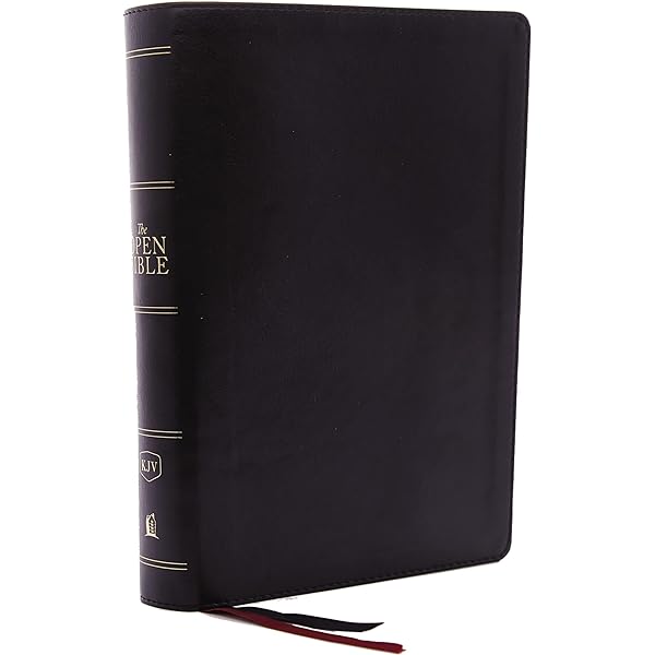 【送料込】新品未開封 スタートレック THE BIBLE Chinese Bible - CU54AX Red Imitation Leather