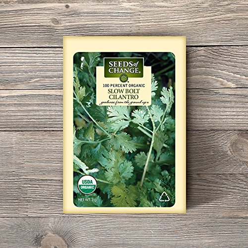 Seeds of Change Certified Organic Santo Cilantro Slow Bolt, 200 Seed Count - Image 3
